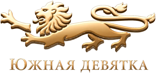 Южная девятка